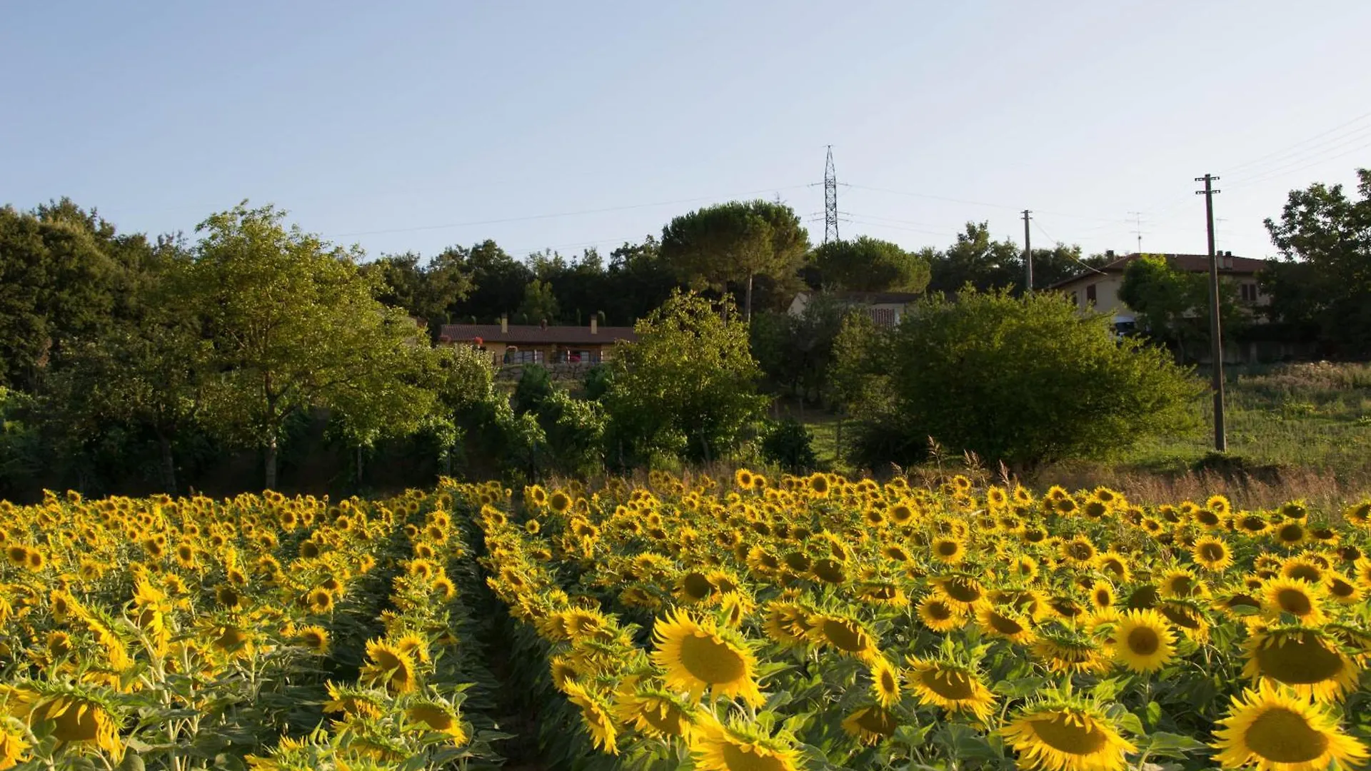 Ferienhaus Il Caratello Gambassi Terme 0*,